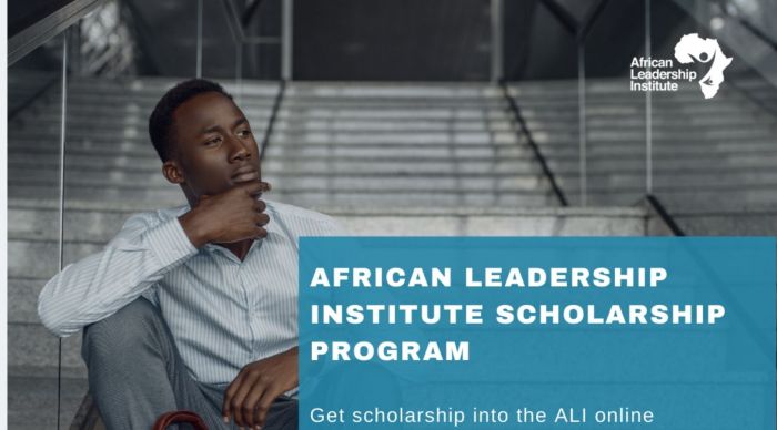 The African Leadership Institute Business Development Scholarship Program